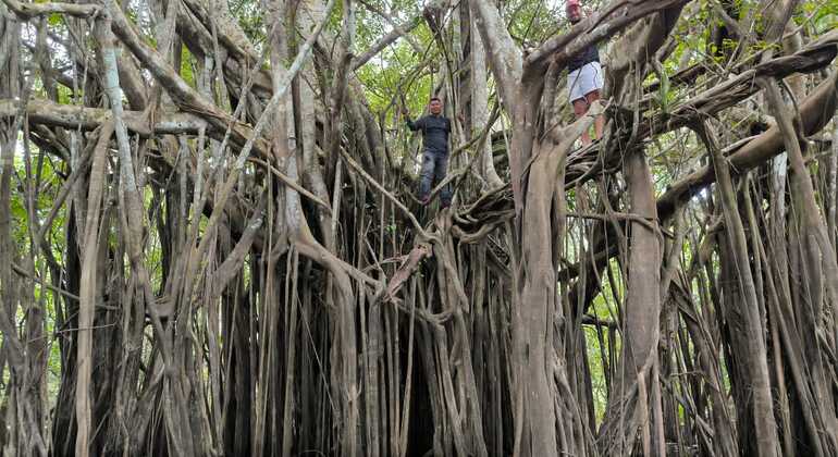 iquitos-four-days-three-nights-extreme-adventure-jungle-tour-en-20