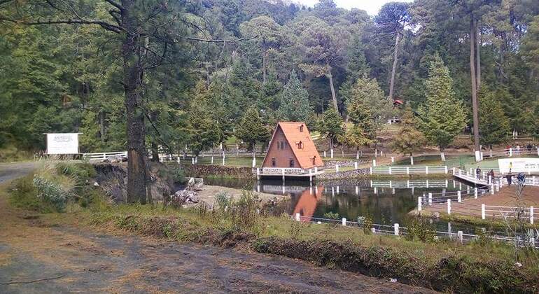 caminata-fotografica-en-el-majestuoso-parque-izta-popo-en-11