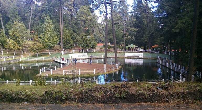 caminata-fotografica-en-el-majestuoso-parque-izta-popo-en-12