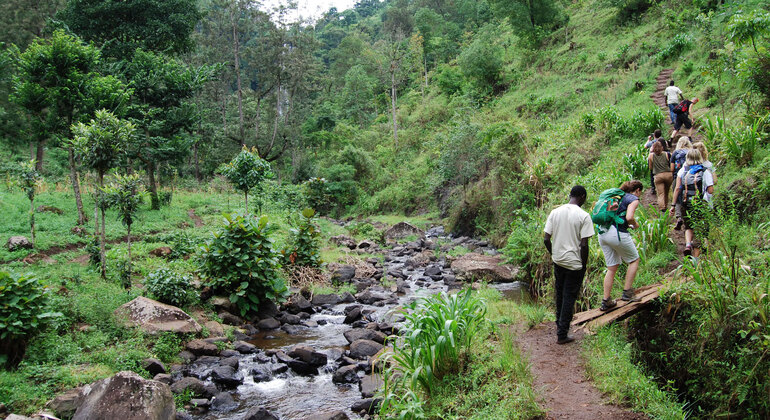 materuni-waterfall-moshi-day-trip-en-2