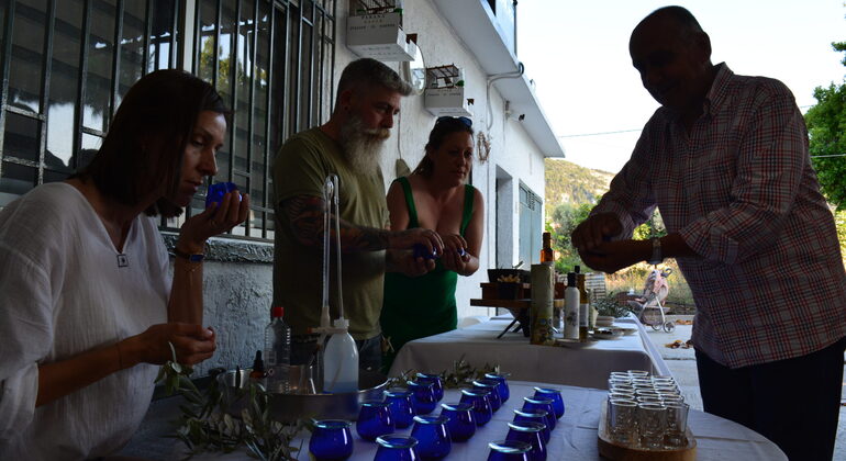 olive-oil-wine-tasting-in-rhodes-en-3