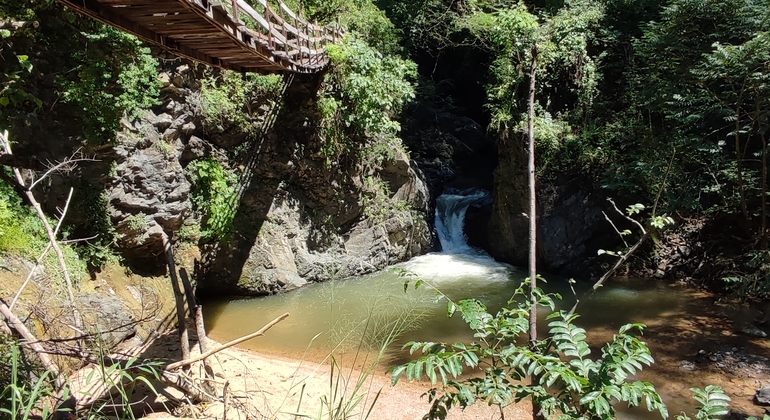 Hiking Tour to Las Palmas Waterfall