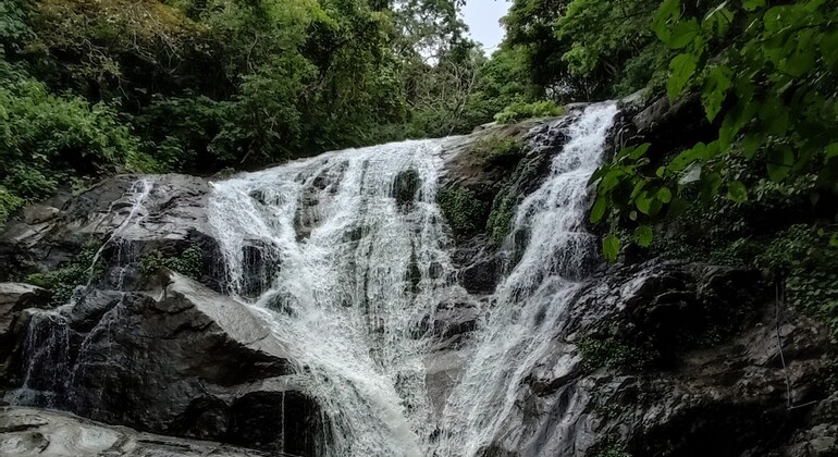 Excursión a la cascada de El Colomo