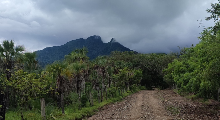 hiking-tour-to-el-colomo-waterfall-en-4