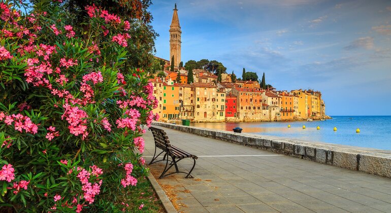 free-walking-tour-in-rovinj-es-11