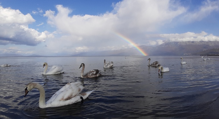 lihnid-tour-pogradec-en-6