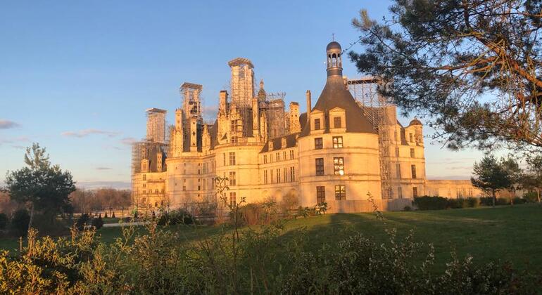 free-tour-dans-le-parc-de-chambord-avec-un-guide-local-es-3