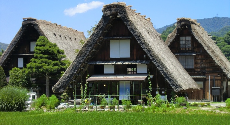 Hida Takayama + Shirakawa-go Tour - Recorrido a pie