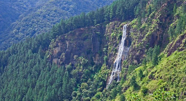 Caza en cascada - Cascadas de Bambarakanda y Lanka + Baño en piscina natural