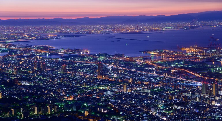 one-day-tour-from-osaka-to-kobe-mount-rokko-night-view-en-10