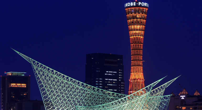 one-day-tour-from-osaka-to-kobe-mount-rokko-night-view-en-3