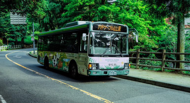 one-day-tour-from-osaka-to-kobe-mount-rokko-night-view-en-4