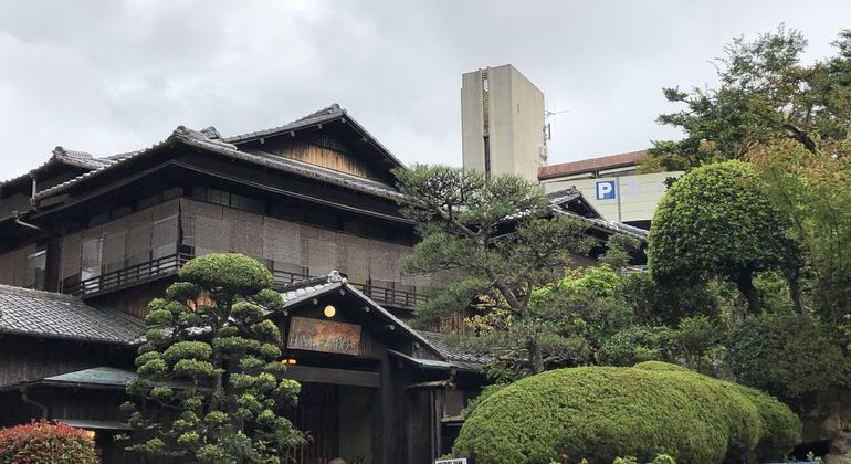 one-day-tour-from-osaka-to-kobe-mount-rokko-night-view-en-8