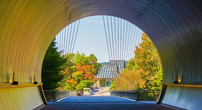 One-Day Tour to Miho Museum, Lake Biwa, & Shirasu Shrine