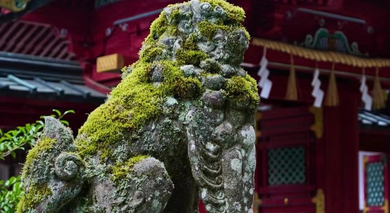 Excursión de un día a Nikko, Patrimonio Cultural de la Humanidad, desde Tokio