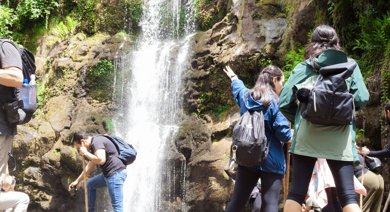 excursión de 1 día a la cultura y el café de Marangu