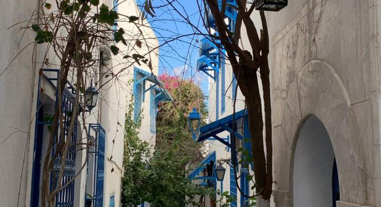 Explore Sidi Bou Said, the Pearl of the Mediterranean Provided by Skander