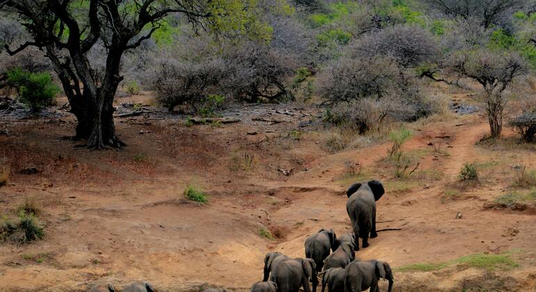 1 Day Tanzania Walking Safari to Arusha National Park