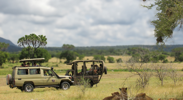 2 Days, 1 Night Selous Game Reserve Provided by Alfa lungange