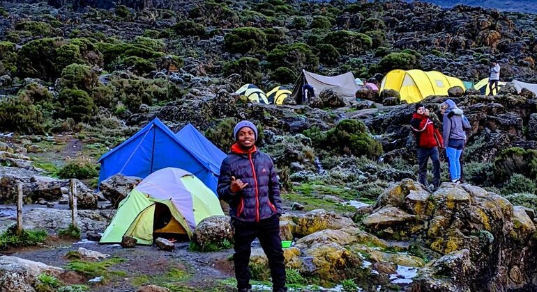 5 Tage Marangu-Routen-Beherrschung: Eroberer des Kilimandscharo-Gipfels Bereitgestellt von Lewison