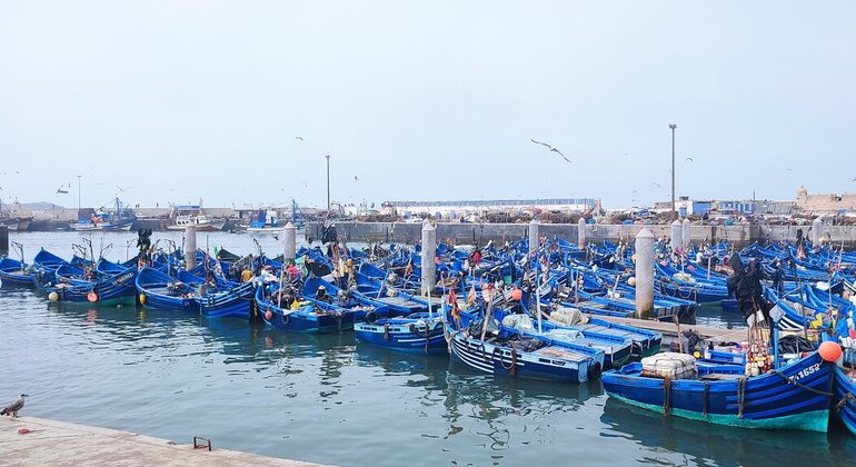 Excursión de un día a Essaouira desde Marrakech