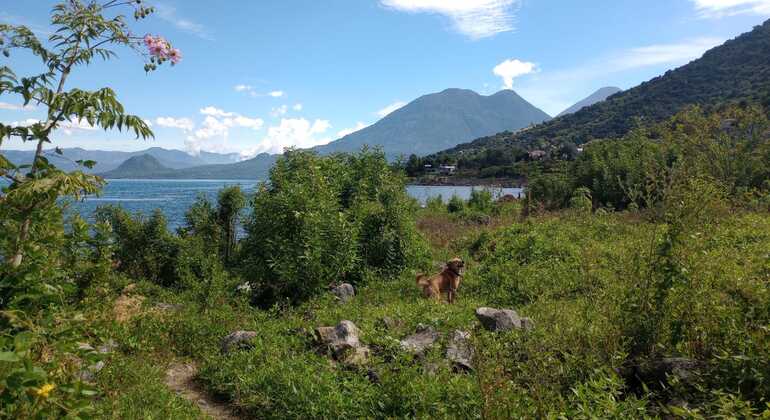 Discover the Magic of Lake Atitlán Provided by MAIZ Gastronomics