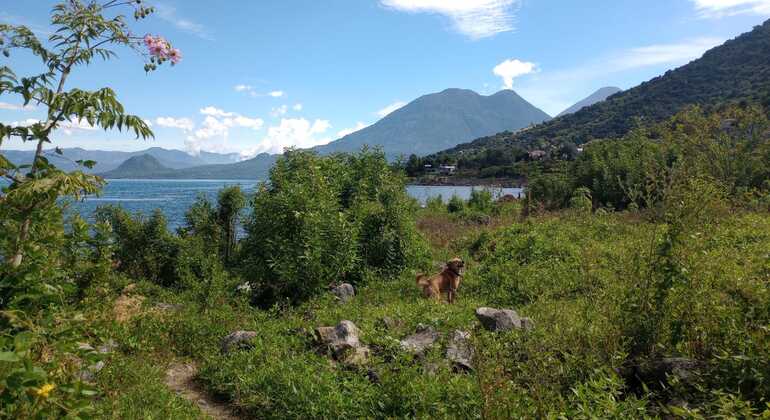 Discover the Magic of Lake Atitlán