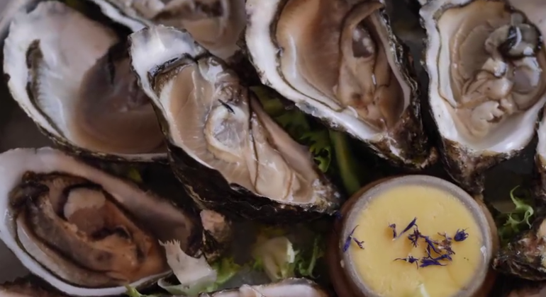 Palerme : dégustation d'huîtres