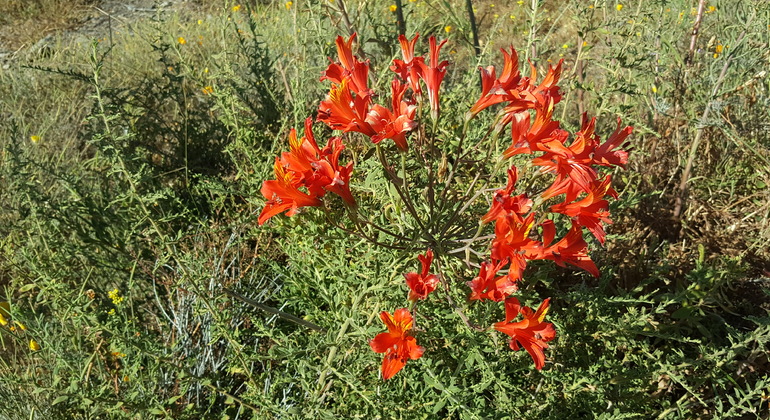 conoce-el-entorno-natural-de-chile-a-pasos-de-santiago-es-4