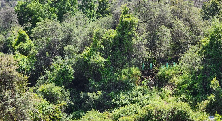 conoce-el-entorno-natural-de-chile-a-pasos-de-santiago-es-10