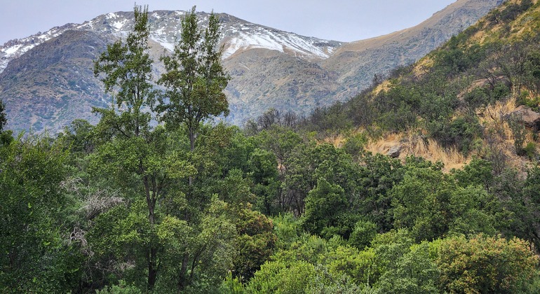 conoce-el-entorno-natural-de-chile-a-pasos-de-santiago-en-19