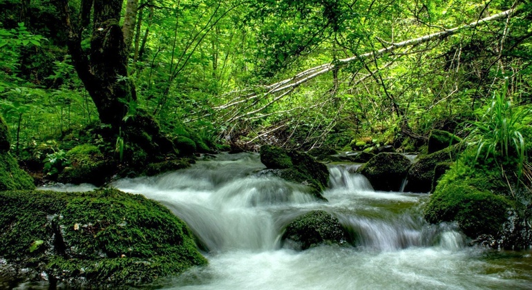 one-day-tour-to-uplistsikhe-borjomi-gori-mtskheta-es-1