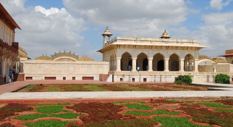 Agra: Visita al Taj Mahal con vestimenta tradicional india Operado por Tour Trips India Holidays