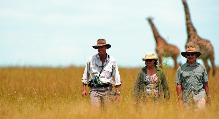 2 giorni di safari di coppia in Tanzania