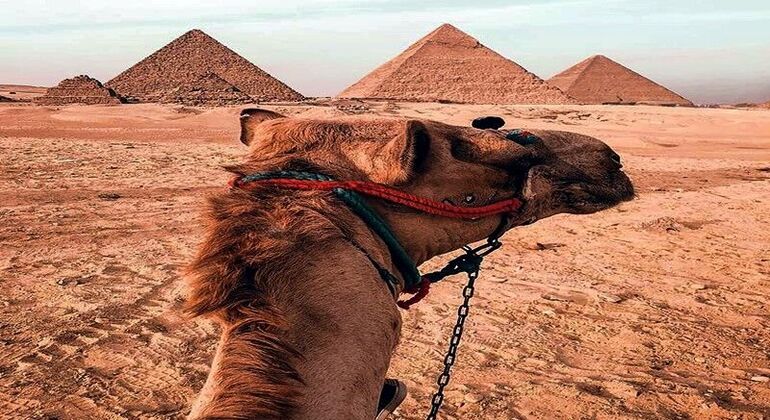 Pirâmides de Gizé e Museu Egípcio no Cairo Visita privada guiada de um dia Organizado por Go Travel Egypt