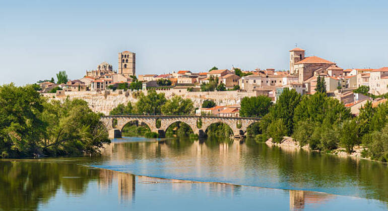 Free Tour Zamora Essential: Everything you can't miss!, Spain