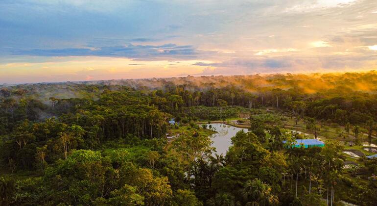 bird-watching-tour-in-the-amazon-en-1