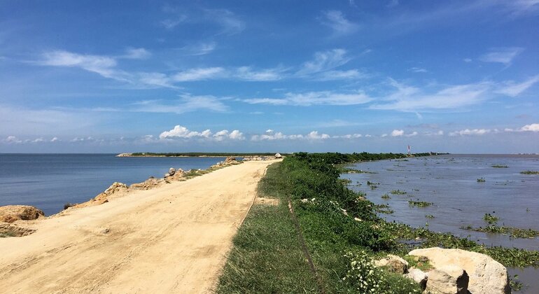 descubre-la-magia-de-barranquilla-en-3