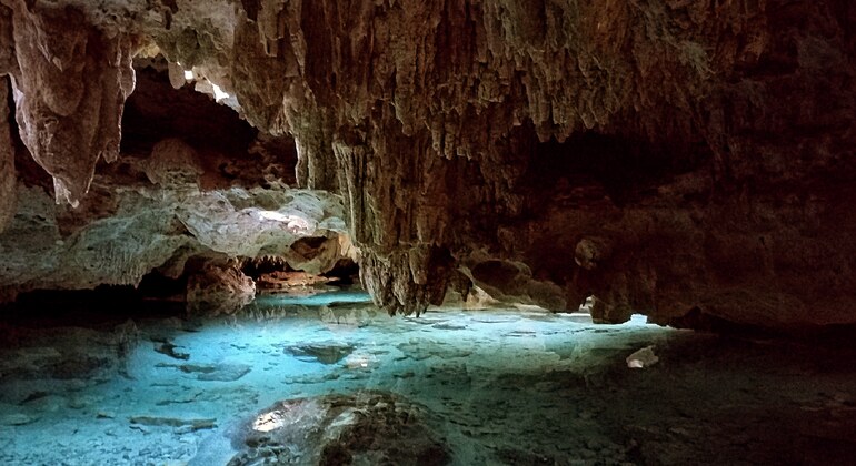 Visit all the Cenotes in One Place Provided by Luis Adrian sanchez Gonzalez