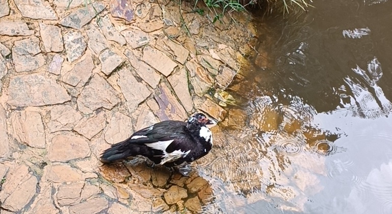 contacto-con-la-naturaleza-en-medio-de-la-ciudad-en-3