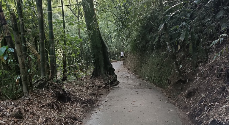 Contacto com a natureza no meio da cidade, Colombia