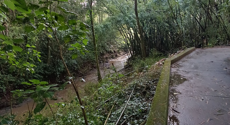 contacto-con-la-naturaleza-en-medio-de-la-ciudad-en-4