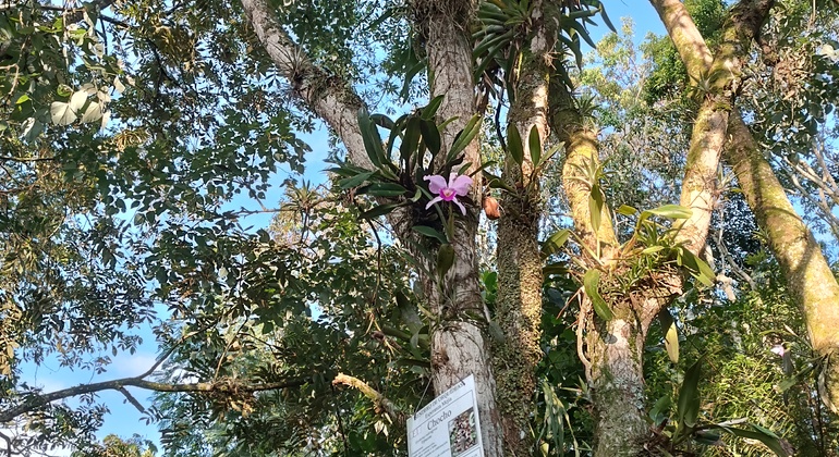 contacto-con-la-naturaleza-en-medio-de-la-ciudad-en-5