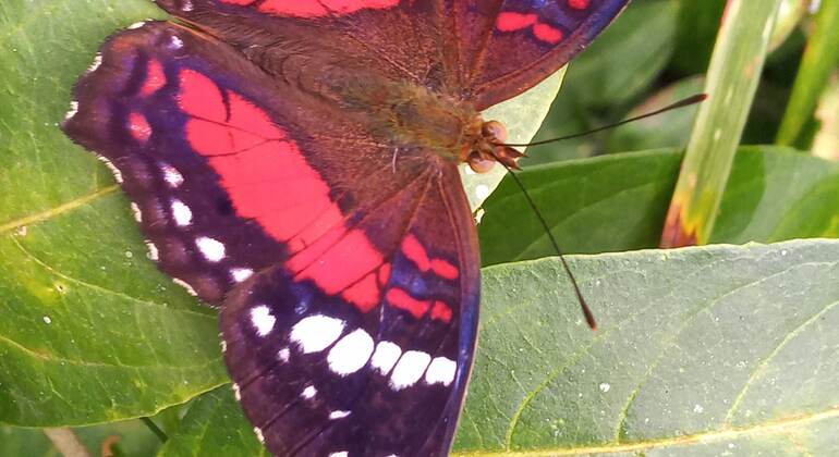 contacto-con-la-naturaleza-en-medio-de-la-ciudad-en-6