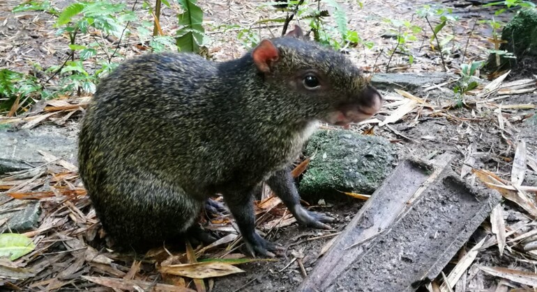 contacto-con-la-naturaleza-en-medio-de-la-ciudad-en-8