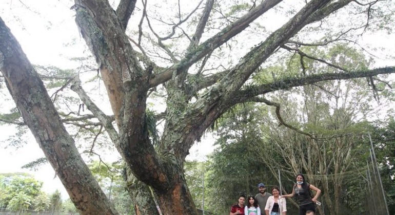 contacto-con-la-naturaleza-en-medio-de-la-ciudad-en-9