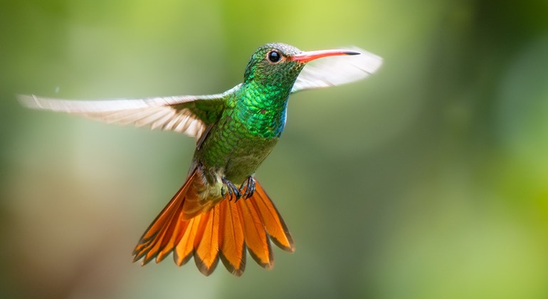 contacto-con-la-naturaleza-en-medio-de-la-ciudad-en-10