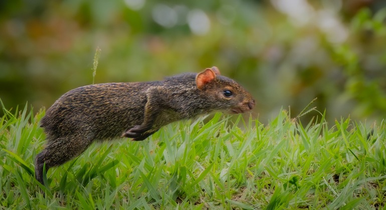 contacto-con-la-naturaleza-en-medio-de-la-ciudad-en-11