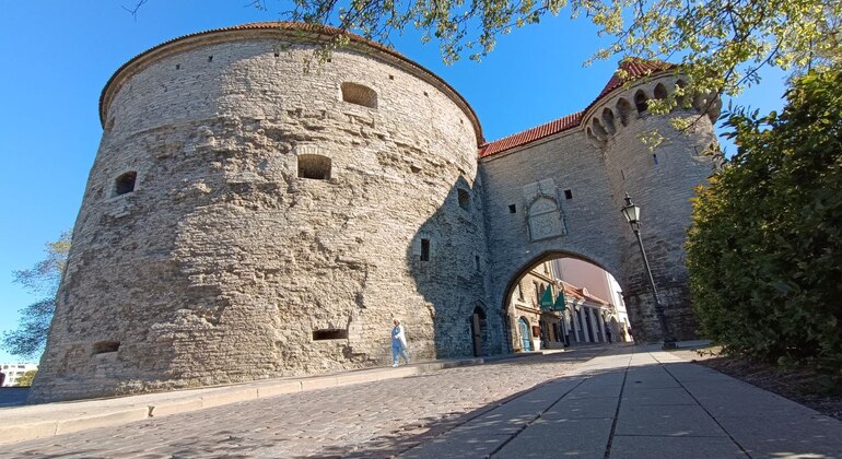 Visite unique de Tallinn : murs et tours médiévaux Fournie par Anna