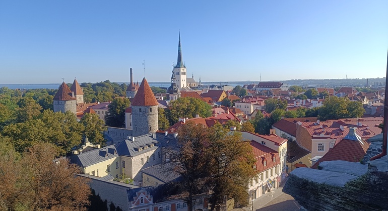 Tour gratuito delle mura medievali e del centro storico di Tallinn Estonia — #1